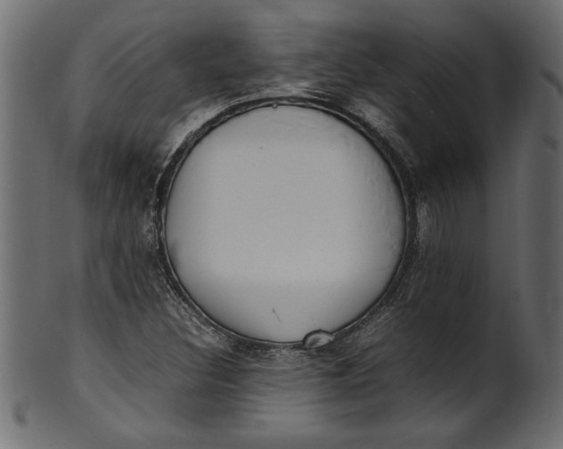 X0000101221308200807181542