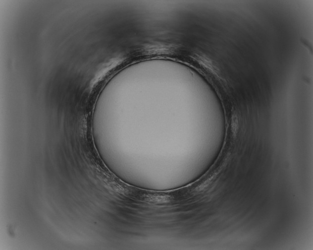 X0000101221309200807181542