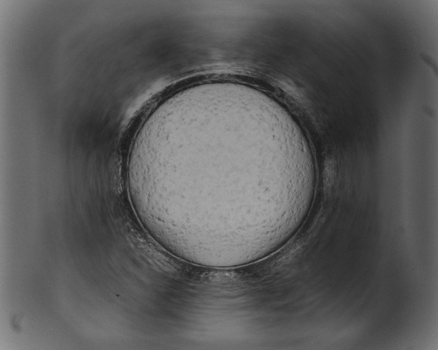X0000101221310200807181542