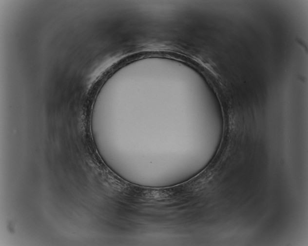X0000101221311200807181542