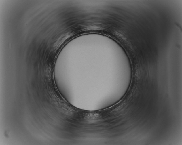 X0000101221313200807181543