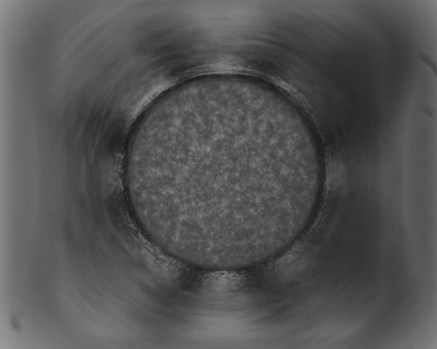 X0000101221314200807181543