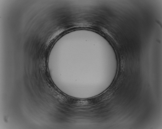X0000101221315200807181543