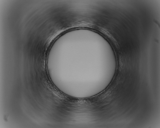 X0000101221316200807181543