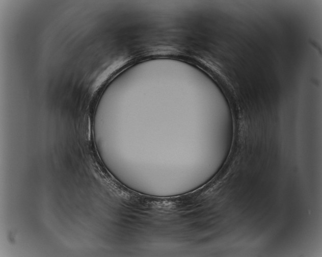 X0000101221317200807181543