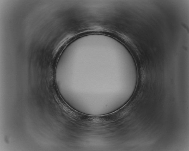 X0000101221318200807181543