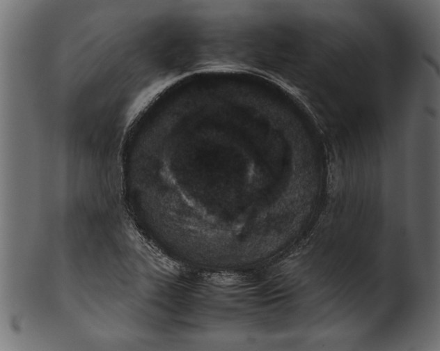 X0000101221319200807181543