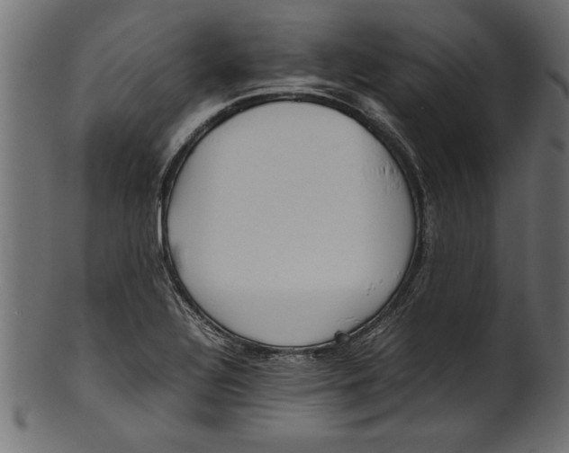 X0000101221320200807181543