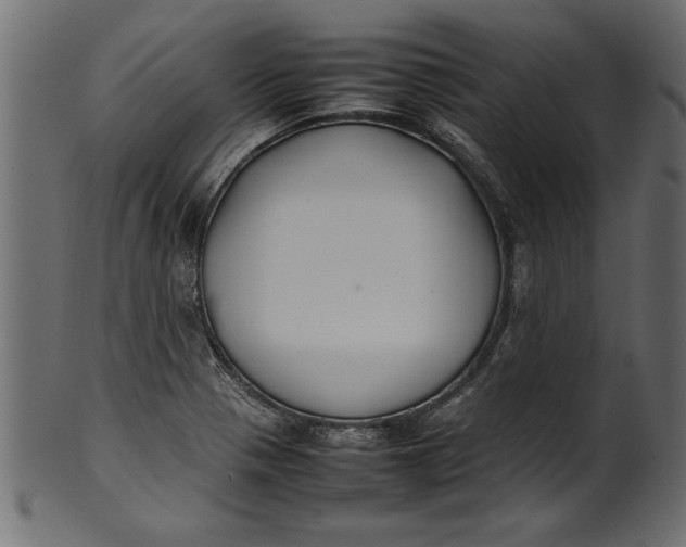 X0000101221321200807181543