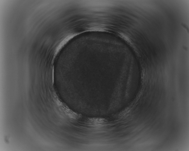 X0000101221323200807181543