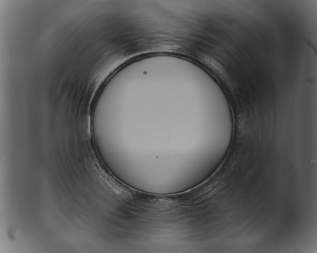 X0000101221324200807181543