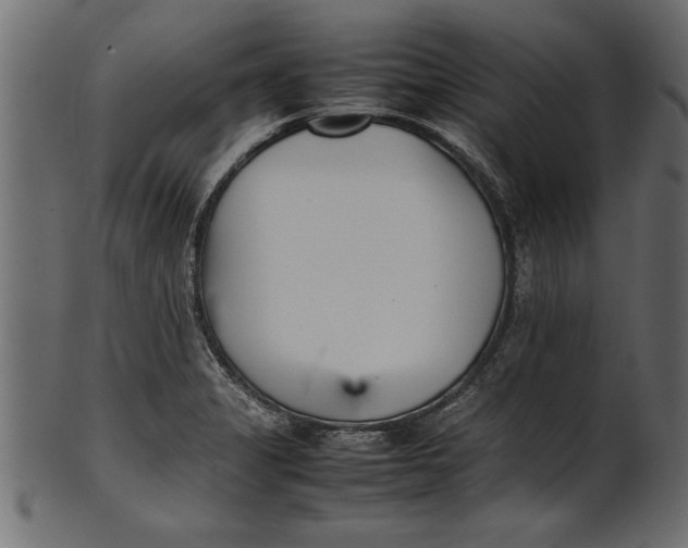X0000101221325200807181543
