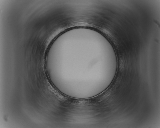 X0000101221326200807181543