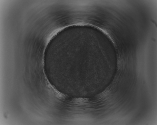 X0000101221327200807181543