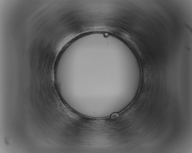 X0000101221328200807181543