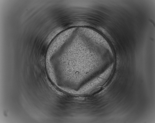 X0000101221329200807181543