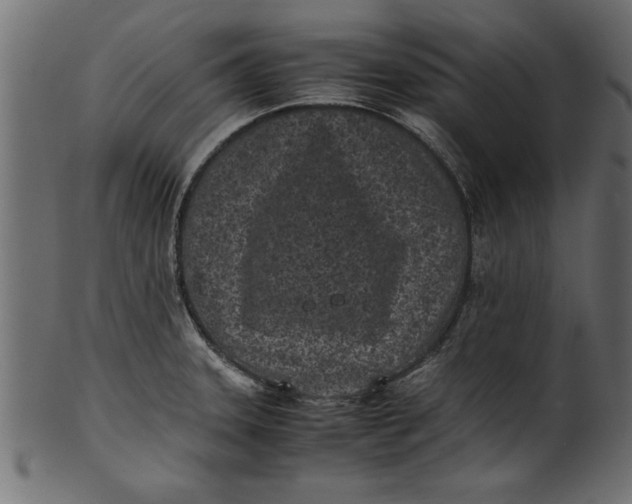 X0000101221331200807181543