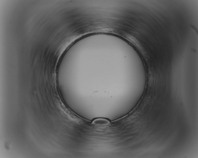 X0000101221332200807181543