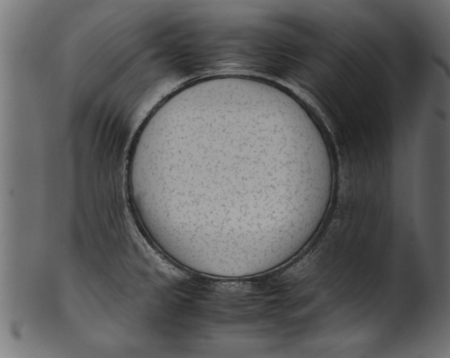X0000101221333200807181543