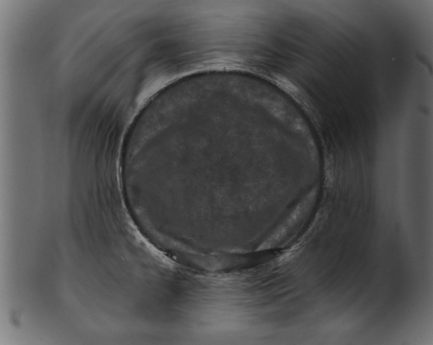 X0000101221334200807181543