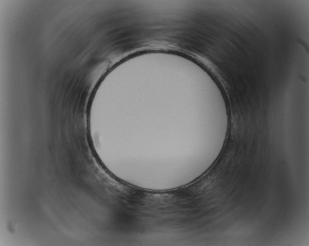 X0000101221335200807181543