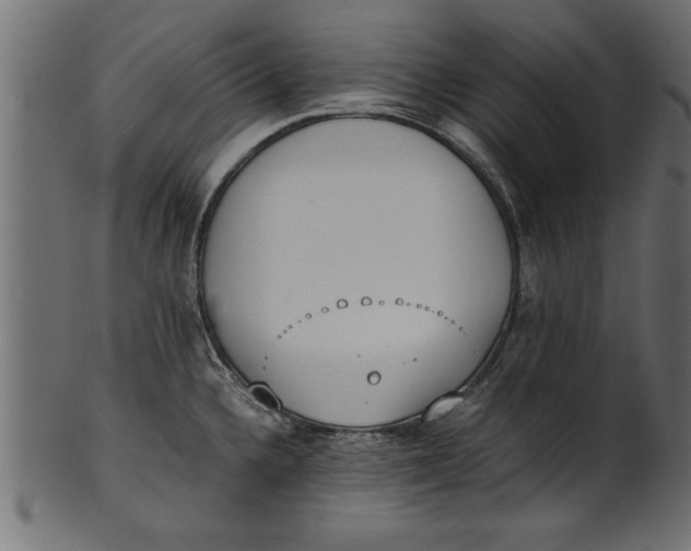 X0000101221336200807181543