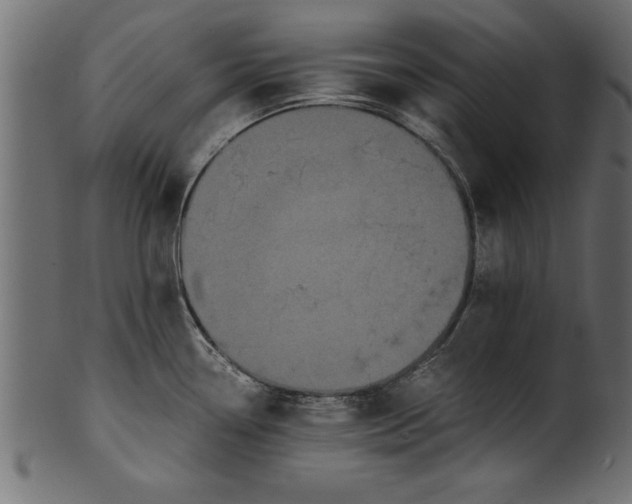 X0000101221338200807181543