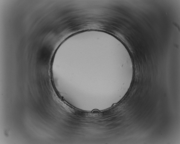 X0000101221339200807181543