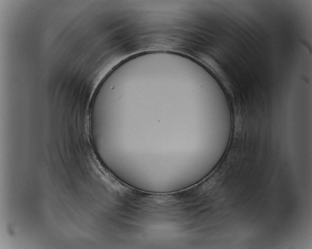 X0000101221340200807181543