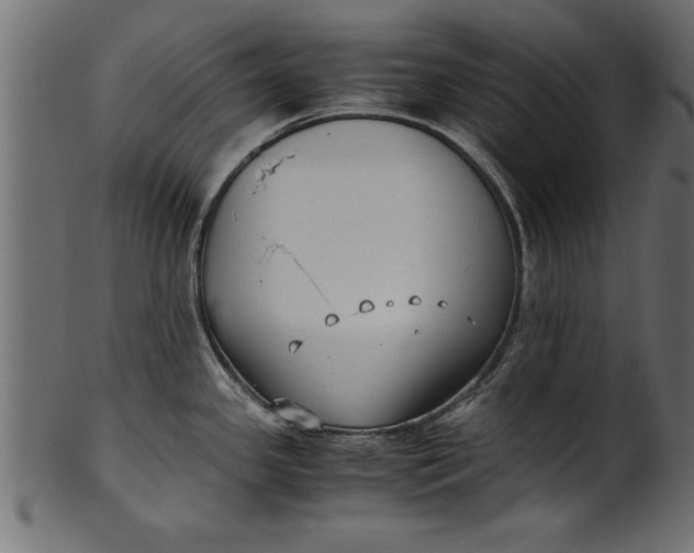 X0000101221341200807181543