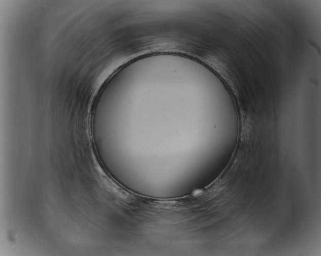 X0000101221342200807181543