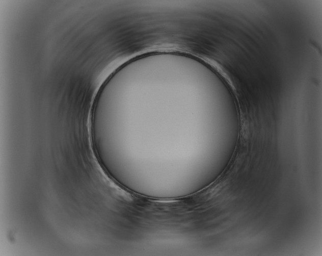 X0000101221343200807181543