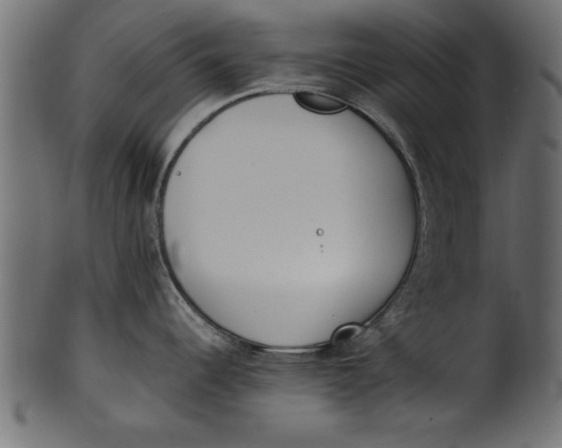 X0000101221344200807181543