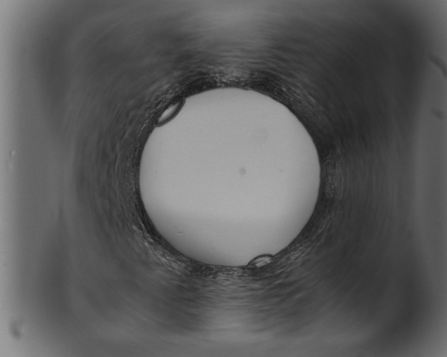 X0000101221345200807181542