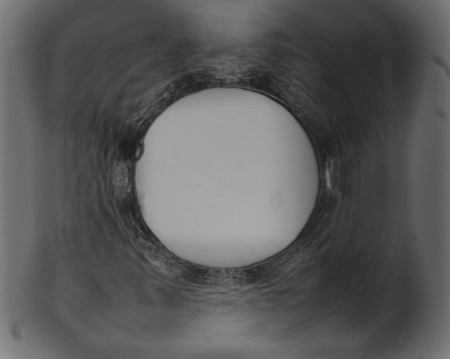 X0000101221347200807181542