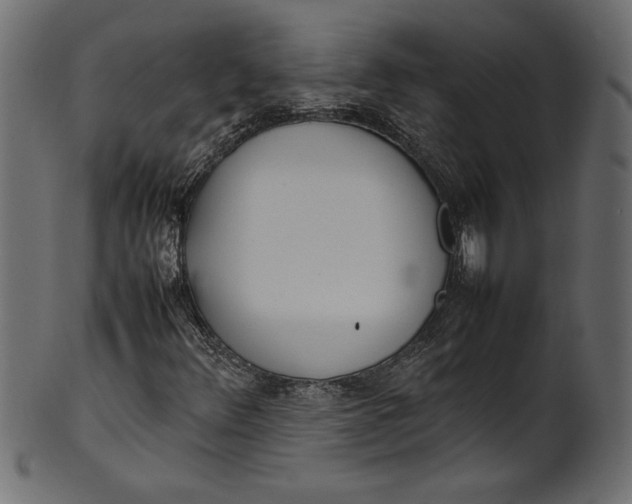 X0000101221348200807181542