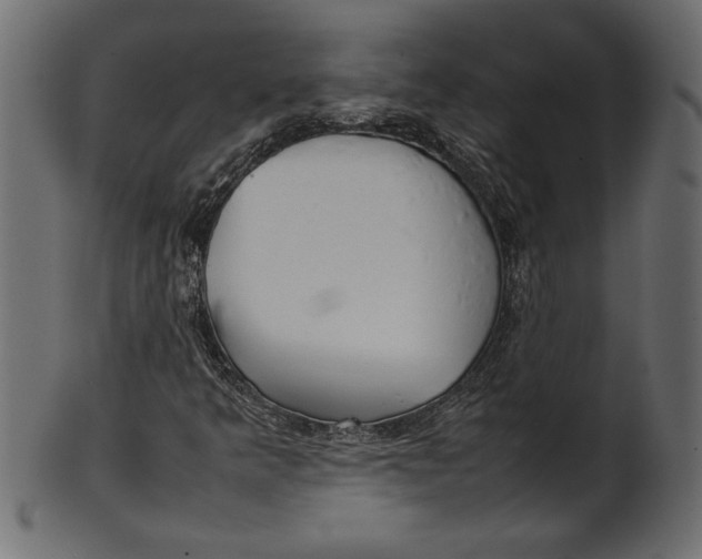 X0000101221349200807181542
