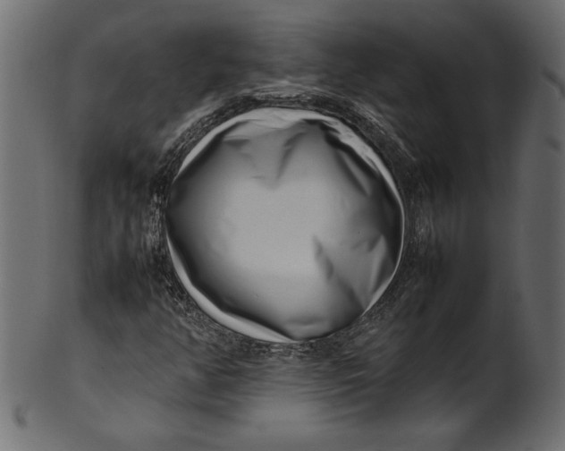 X0000101221350200807181542