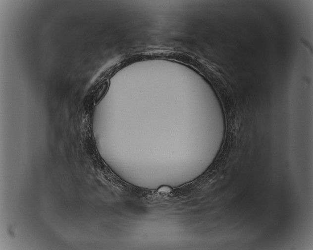 X0000101221351200807181542