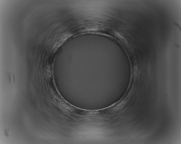 X0000101221353200807181542