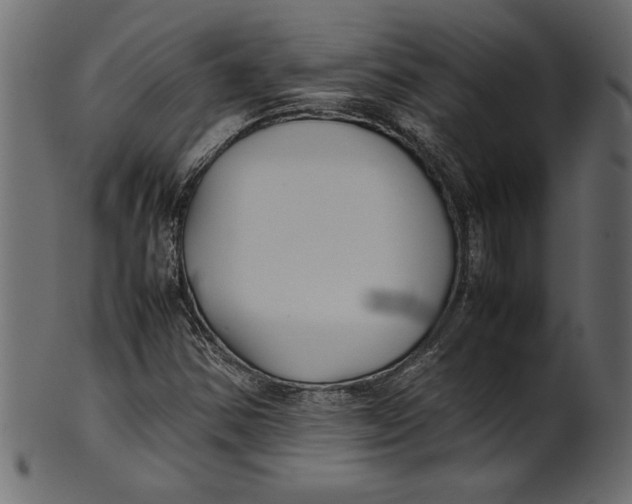 X0000101221354200807181542