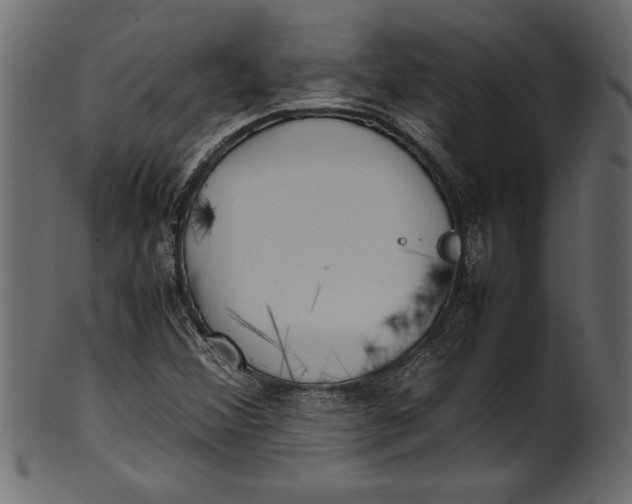 X0000101221356200807181542