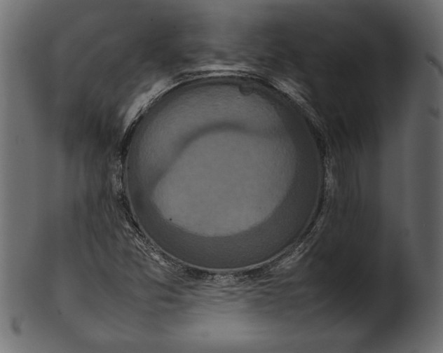 X0000101221357200807181542