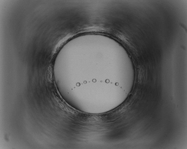 X0000101221358200807181542