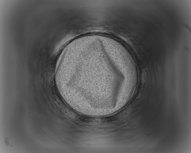 X0000101221359200807181542