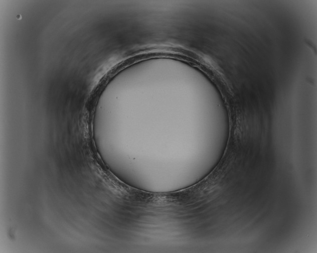 X0000101221360200807181542