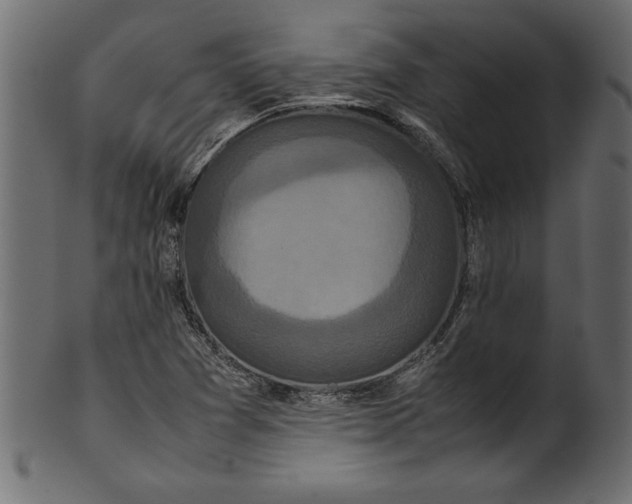 X0000101221361200807181542