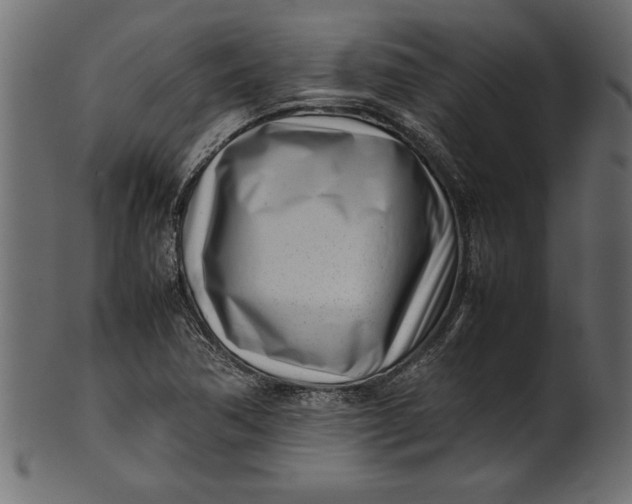 X0000101221362200807181542