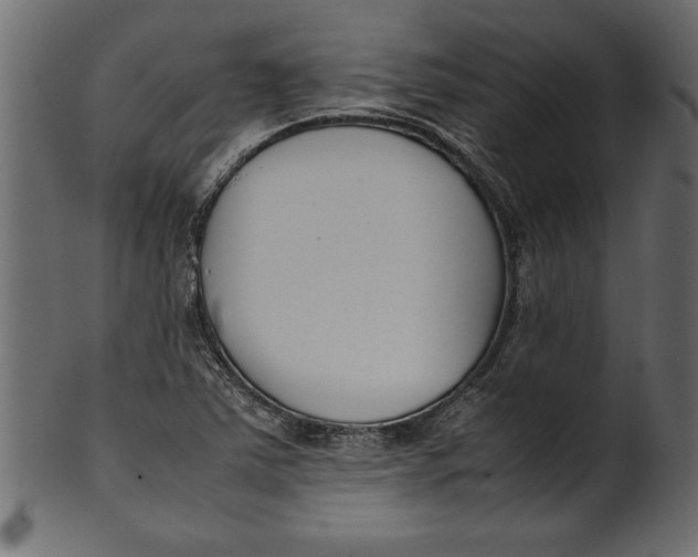 X0000101221363200807181542