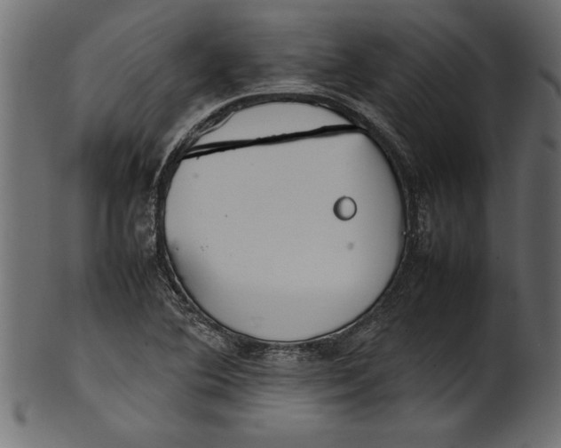X0000101221364200807181542